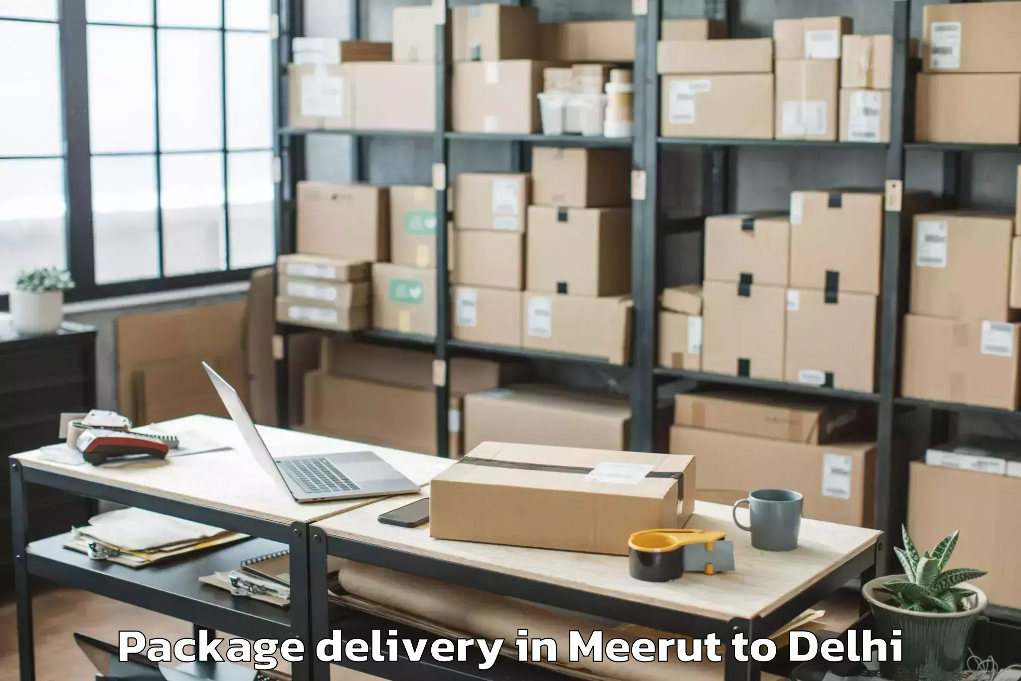 Professional Meerut to Kalkaji Package Delivery